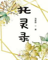 托灵录托灵录